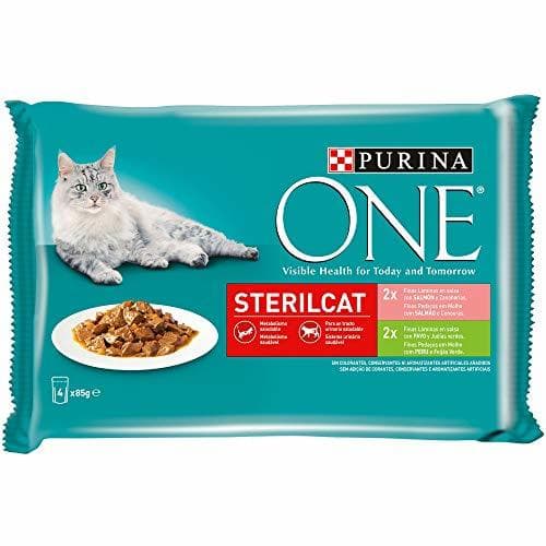 Place Purina ONE comida húmeda para gato esterilizados filetes en salsa con variedad de