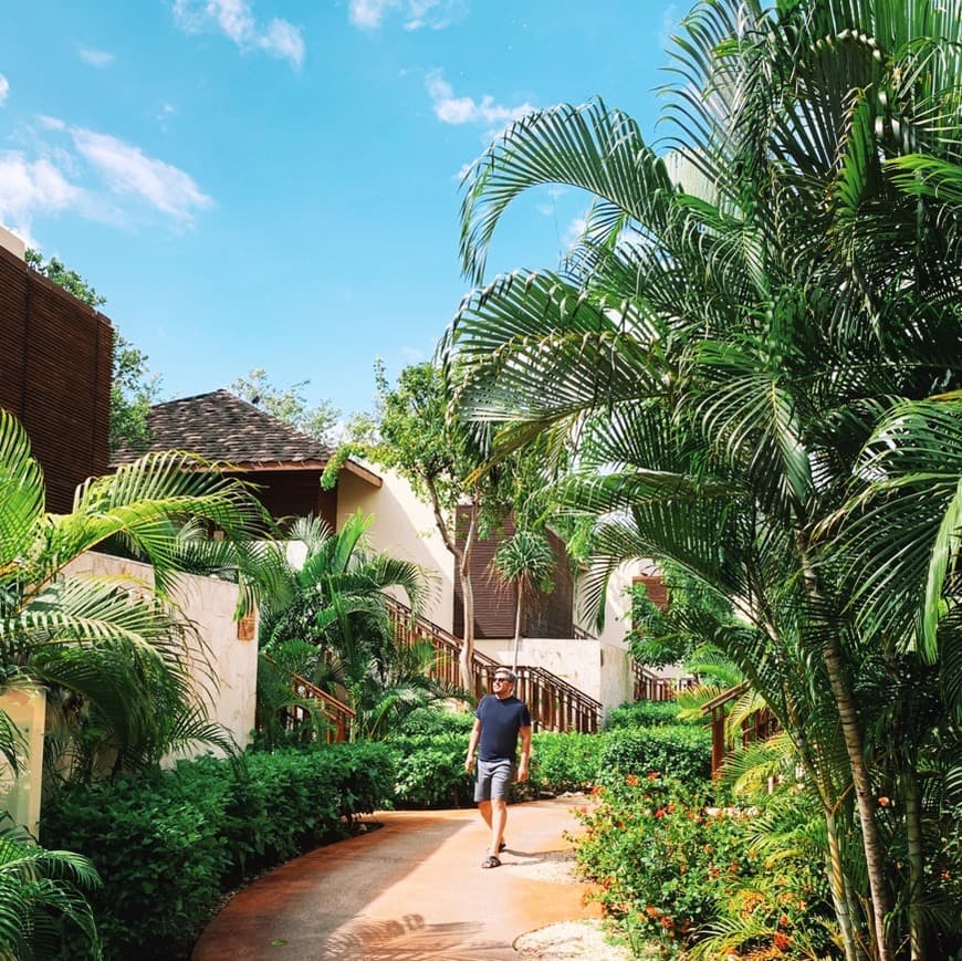 Place Fairmont Mayakoba Riviera Maya