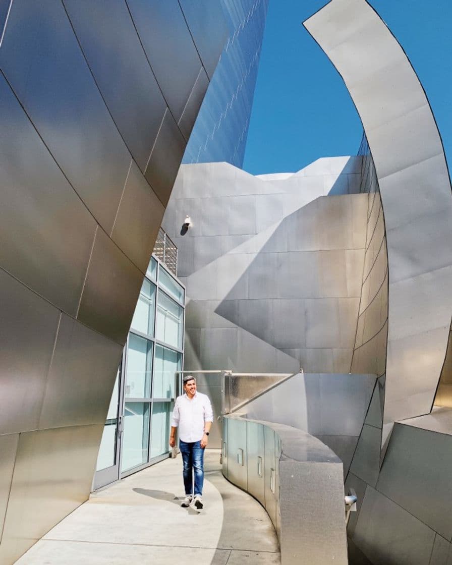 Place Walt Disney Concert Hall