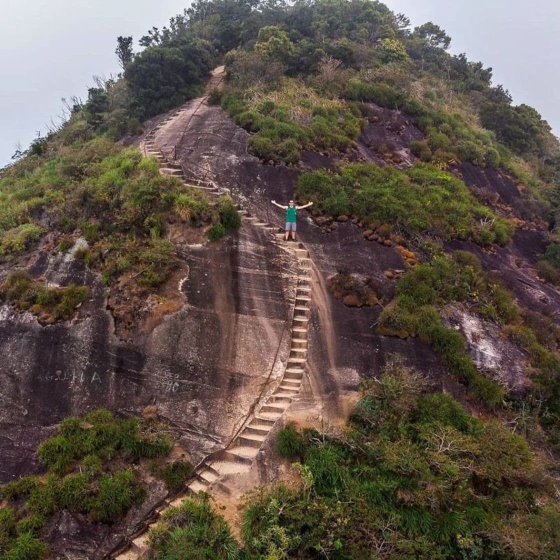 Place Pico da Tijuca