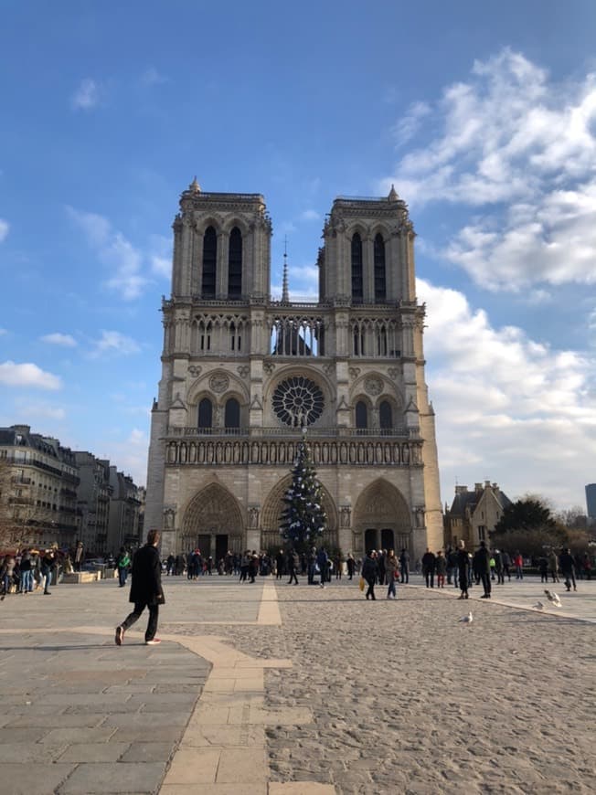 Place Catedral de Notre Dame