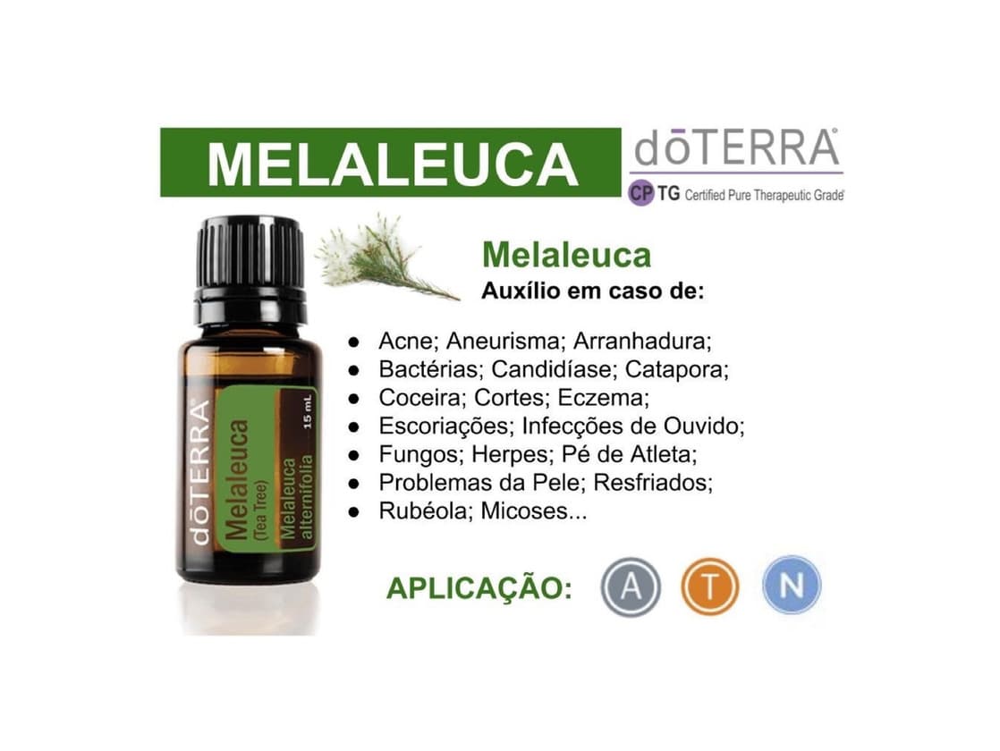 Product Óleo melaleuca