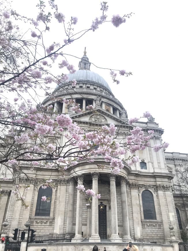 Lugar Catedral de Saint Paul