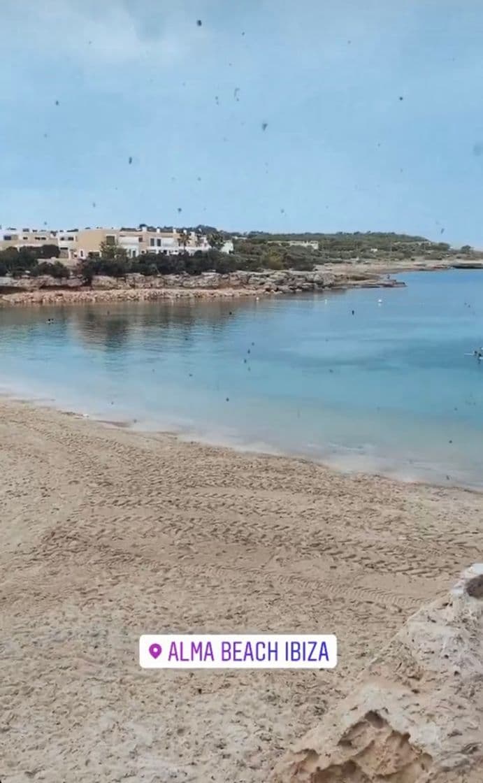 Restaurantes CBbC Port des Torrent