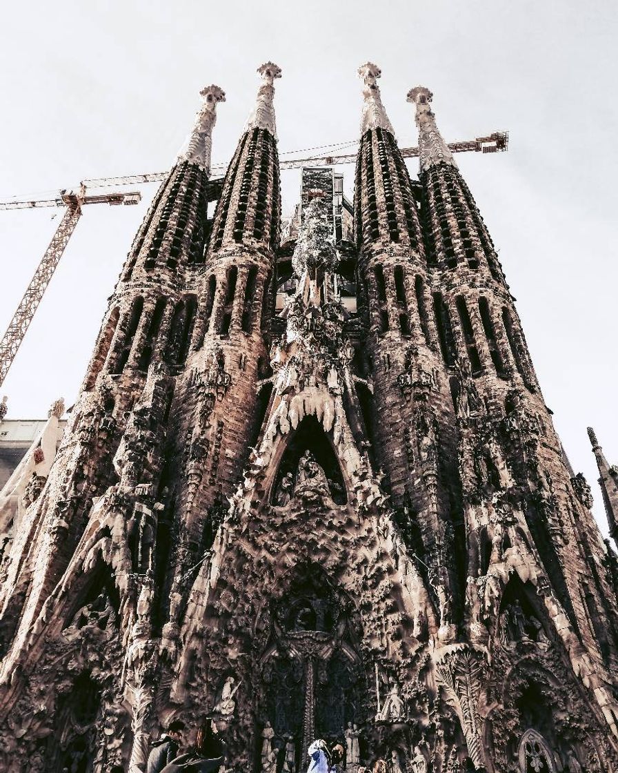 Lugar Basílica Sagrada Familia