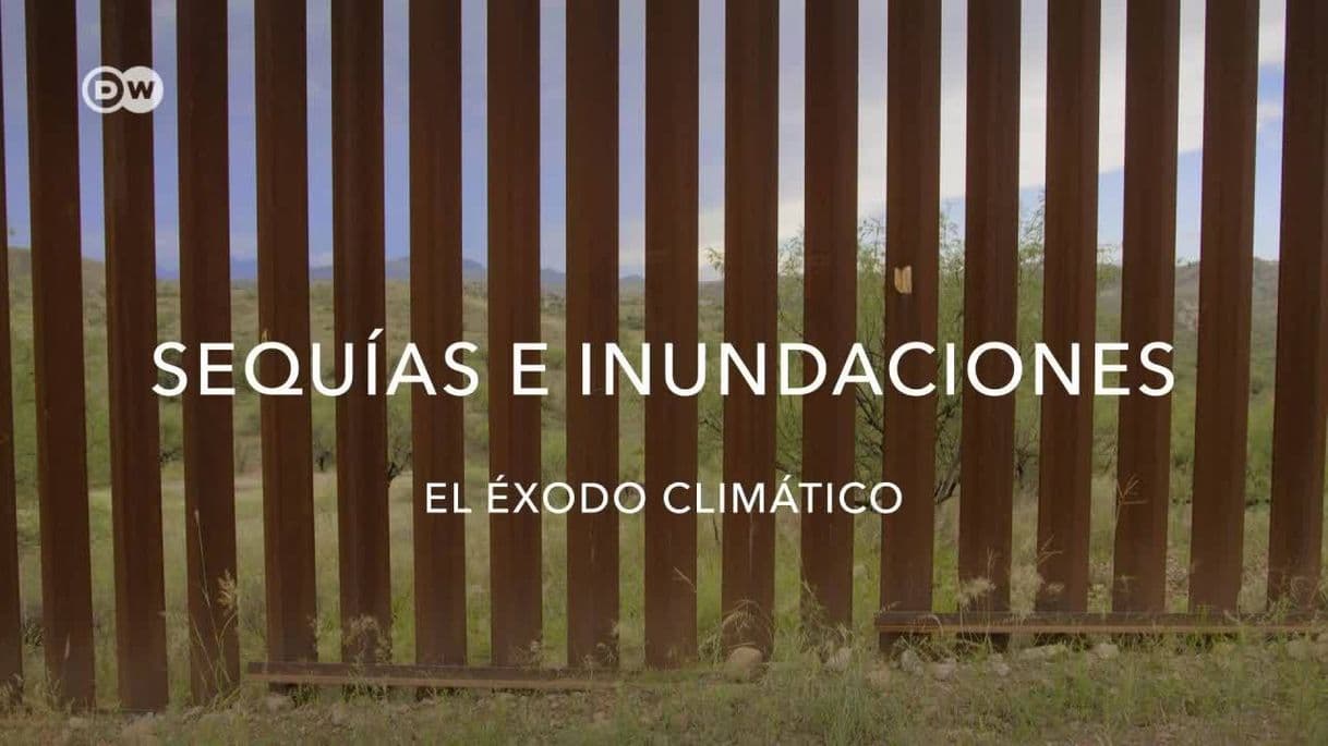 Película Sequías e inundaciones - El éxodo climático 