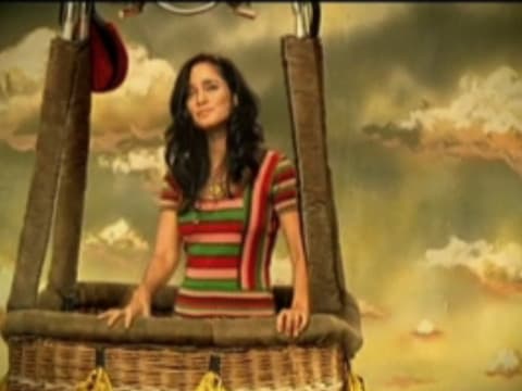 Canción Me voy, Julieta Venegas