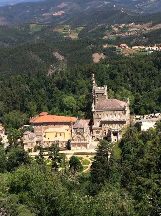 Lugar Mata Nacional do Buçaco