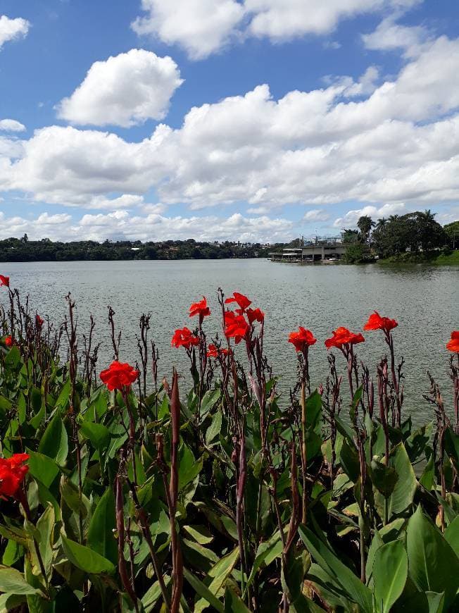 Place Lagoa da Pampulha