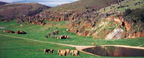 Place Cabárceno Natural Park