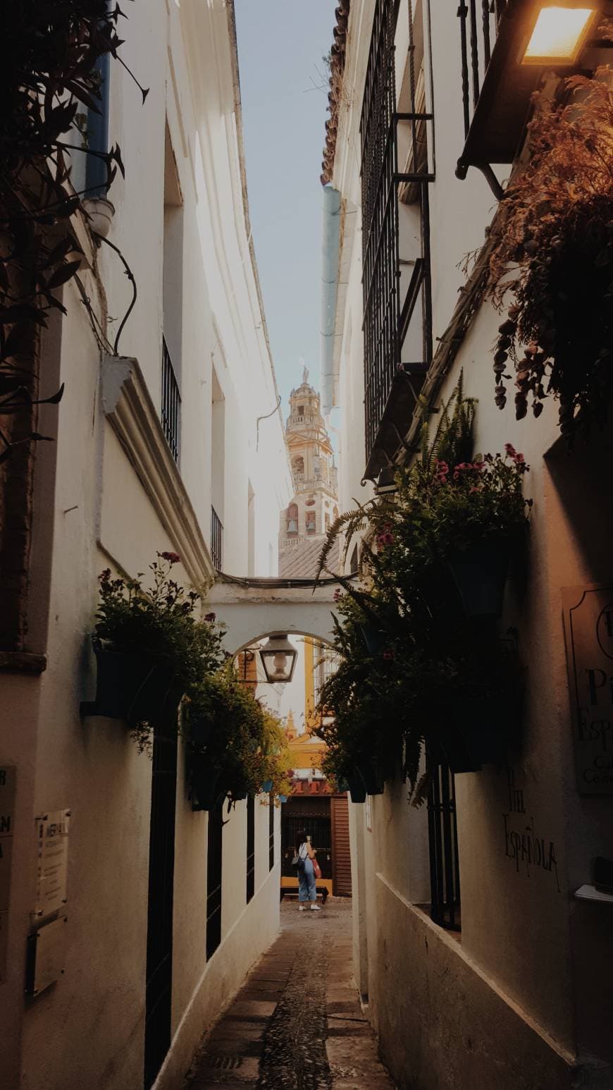 Place Calleja de las Flores