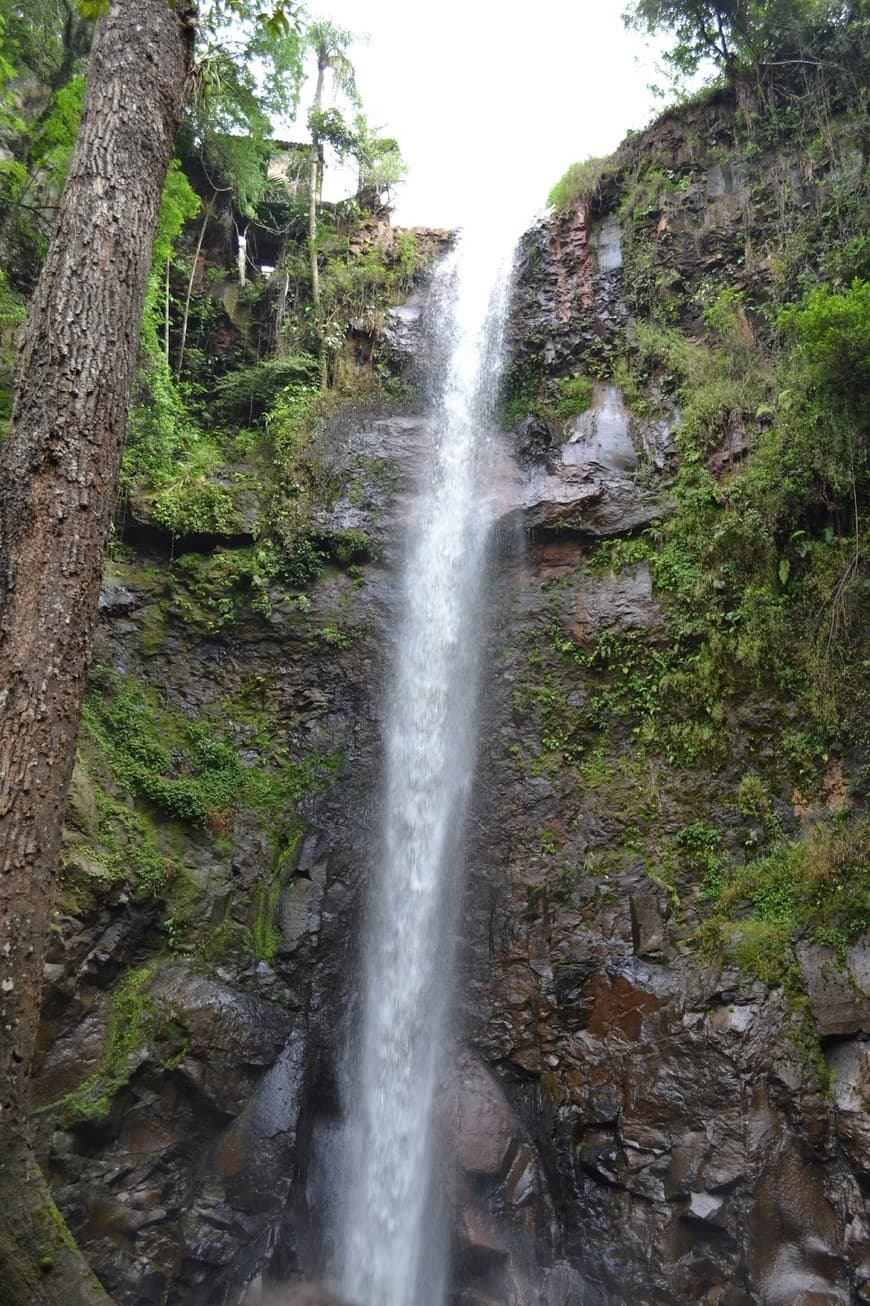 Place Cachoeira Pavuna