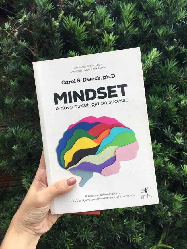 Book Mindset