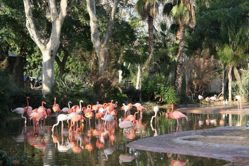 Lugar Zoo Barcelona