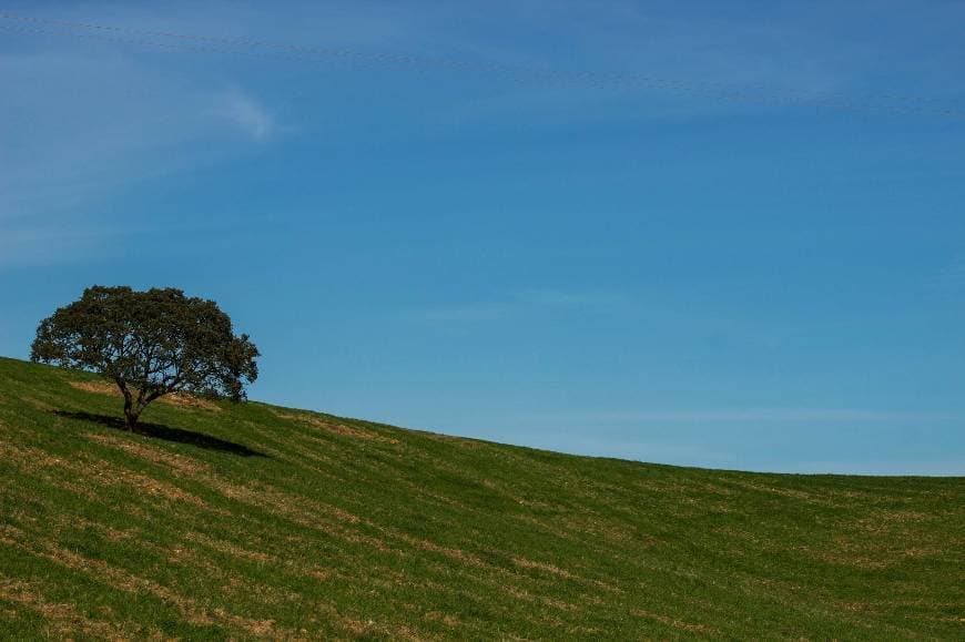 Lugar Alentejo