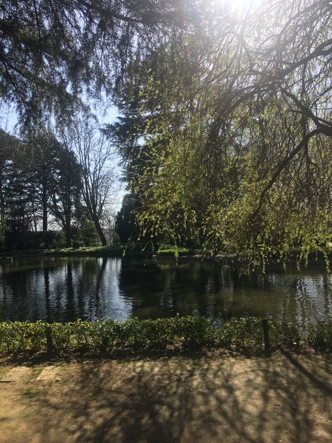 Place Jardins do Palácio de Cristal