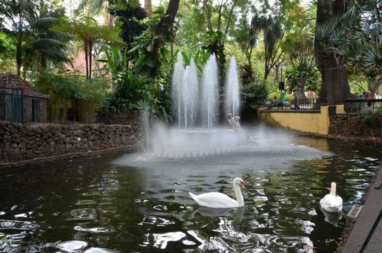 Place Jardim Municipal do Funchal