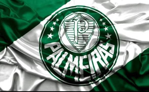 Producto 6° Palmeiras