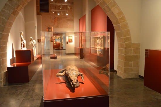 Place Museu Diocesà