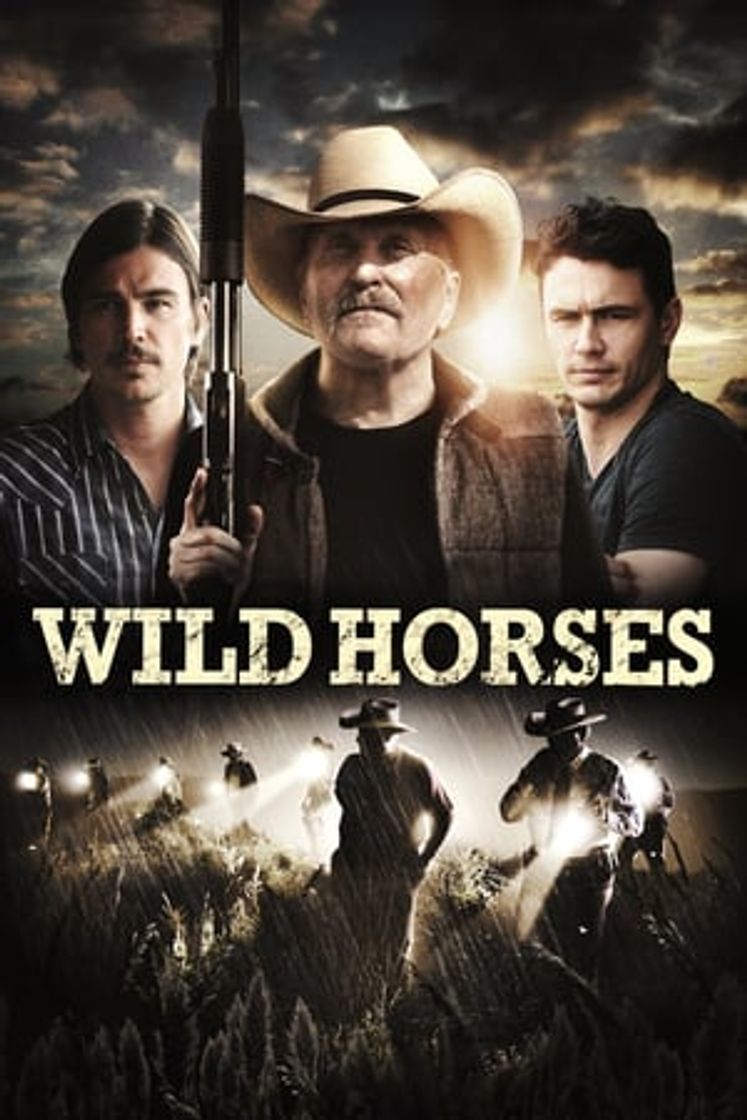 Movie Wild Horses