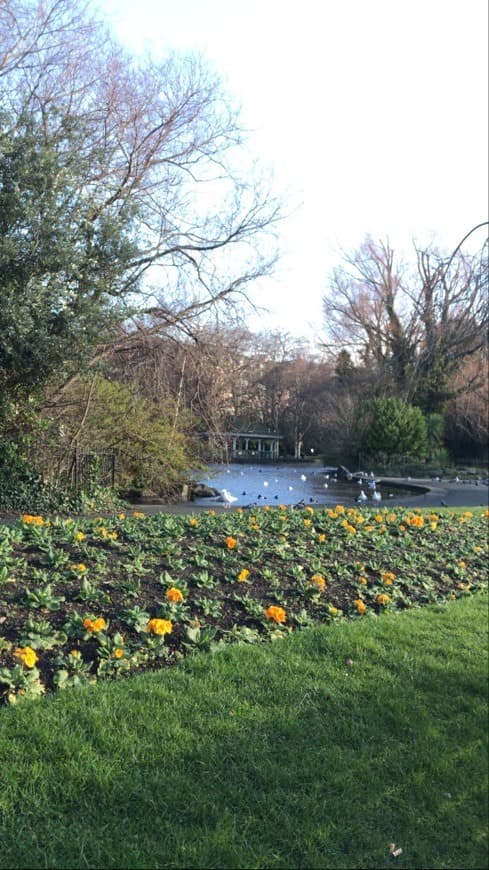 Lugar St. Stephen's Green