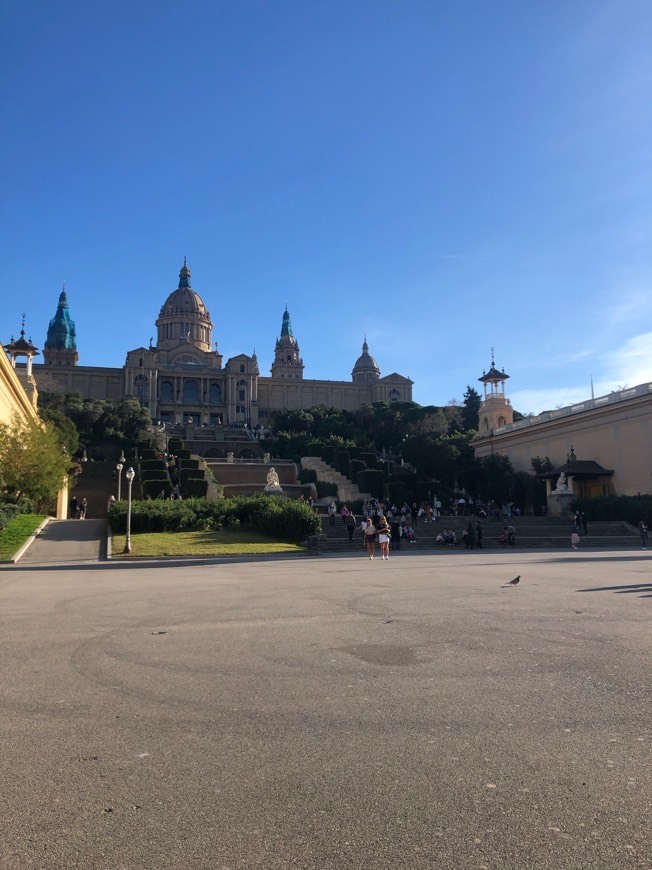 Lugar Museo Nacional de Arte de Cataluña