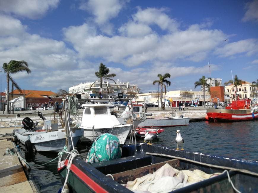 Lugar Doca de Pesca do Porto de Setúbal