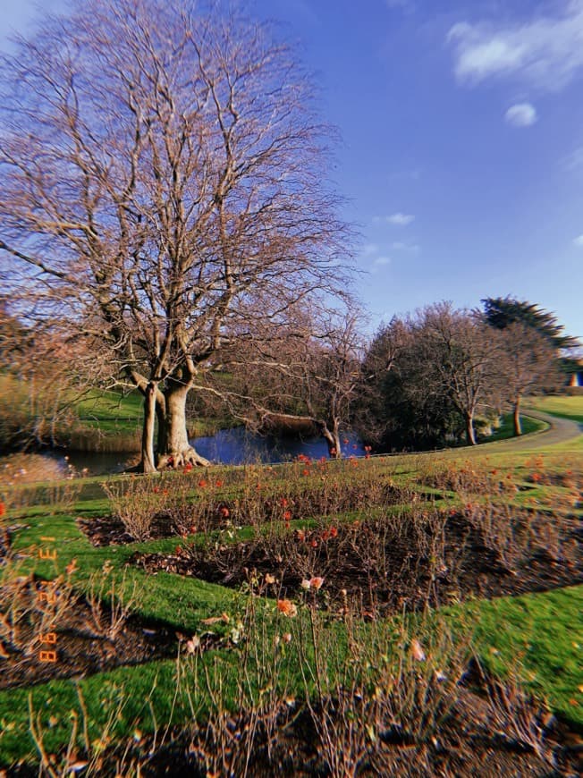 Place Phoenix Park