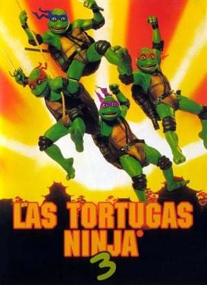 Movie Teenage Mutant Ninja Turtles III