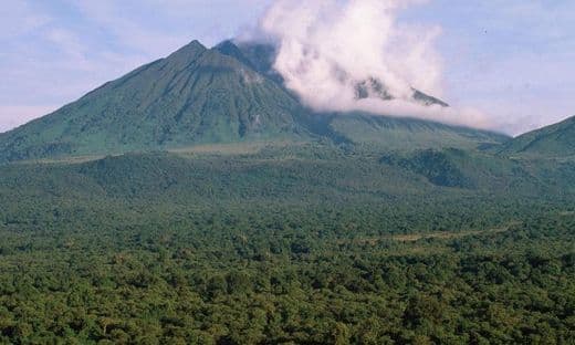 Place Virunga National Park