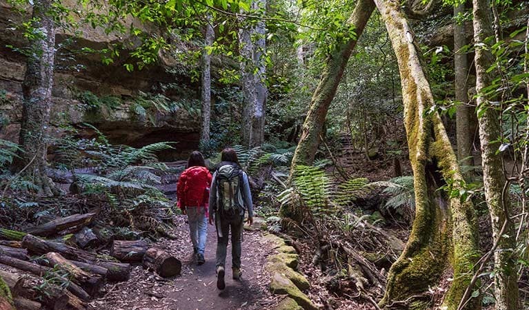 Lugar Blue Mountains National Park