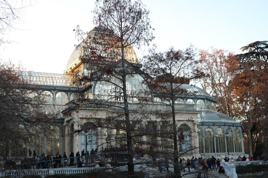 Lugar Palacio de Cristal