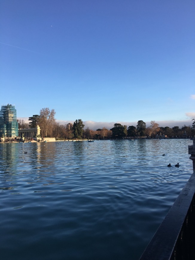 Place Parque de El Retiro