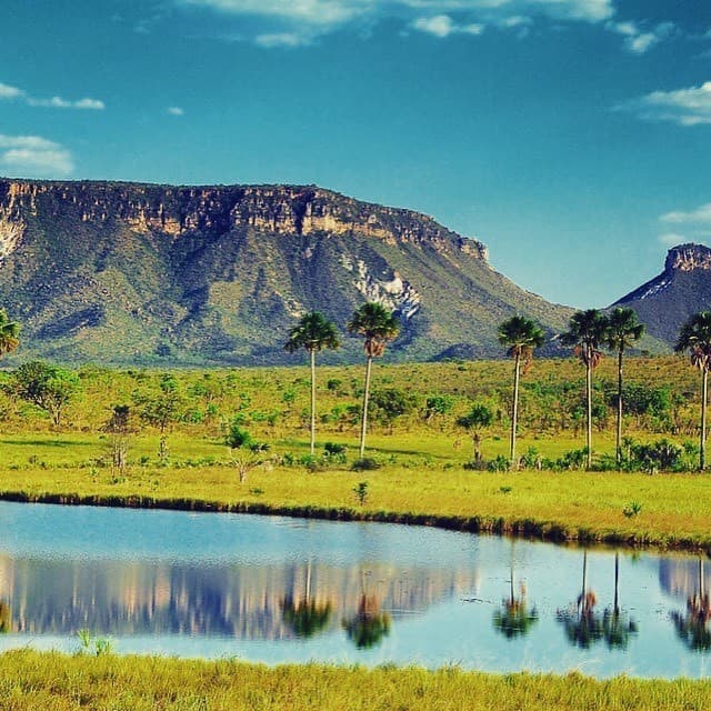 Lugar Parque Estadual do Jalapão