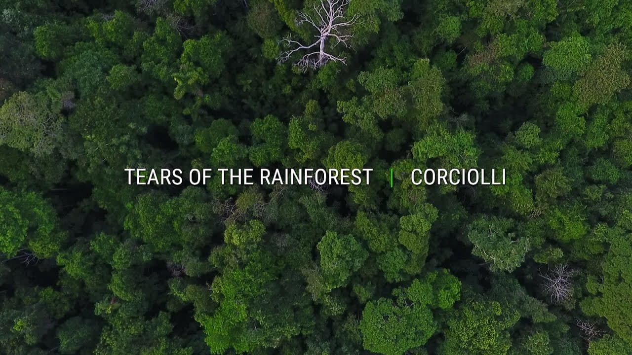 Moda Corciolli | Tears of the Rainforest - YouTube