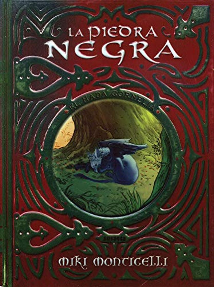 Libro La piedra negra