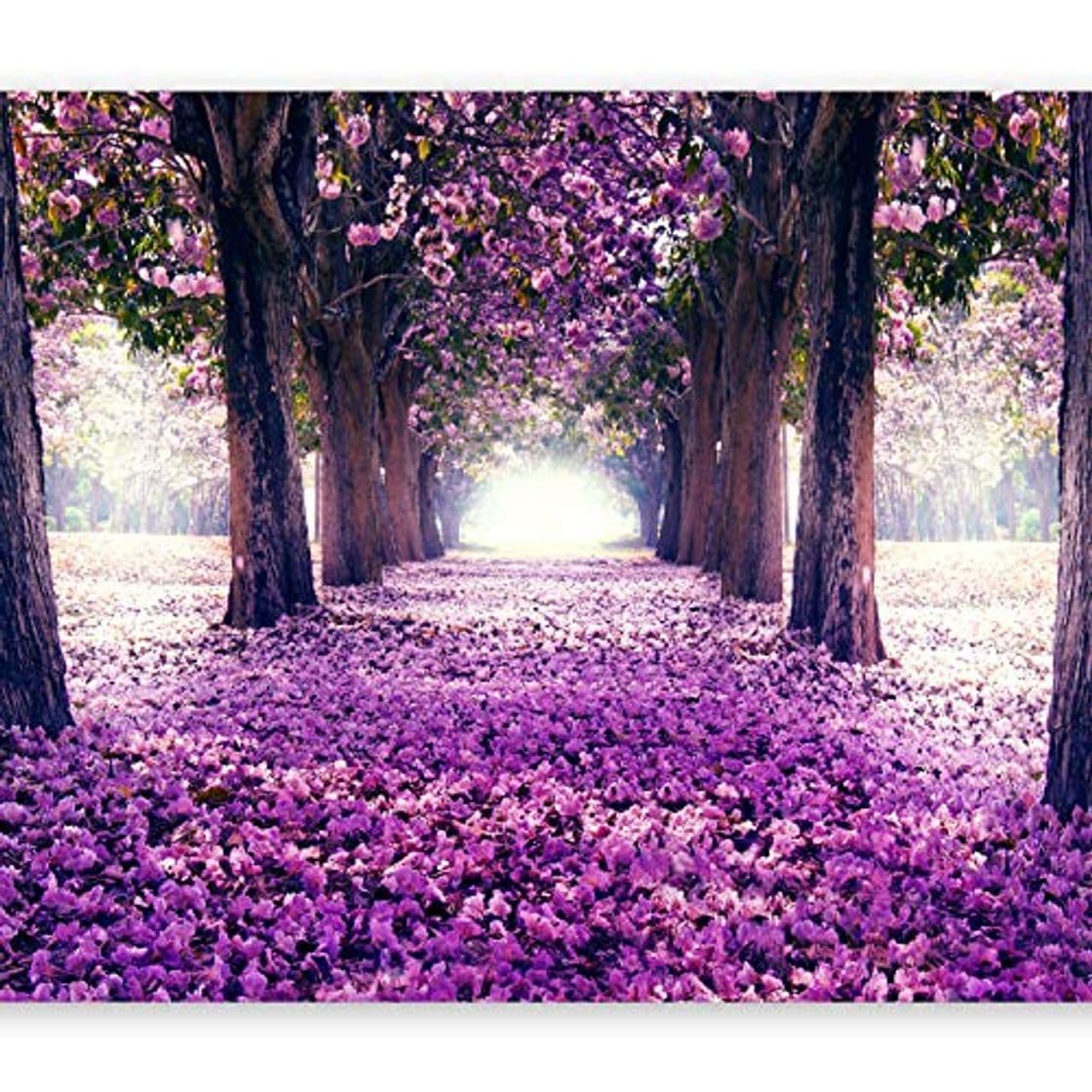 Product murando Fotomurales Flores 350x256 cm XXL Papel pintado tejido no tejido Decoración