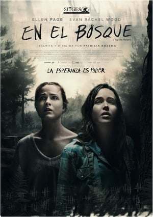 Película Into the Forest