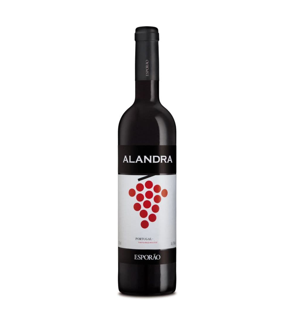 Fashion Vinho Tinto Alandra