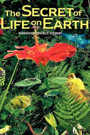 Película The Secret of Life on Earth