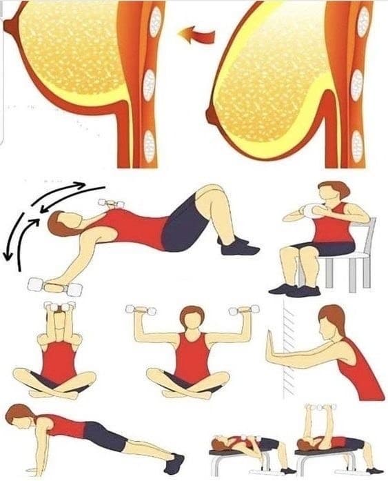 Moda -Variações no treino de Peito. Baixe a imagem para visualizar em ...