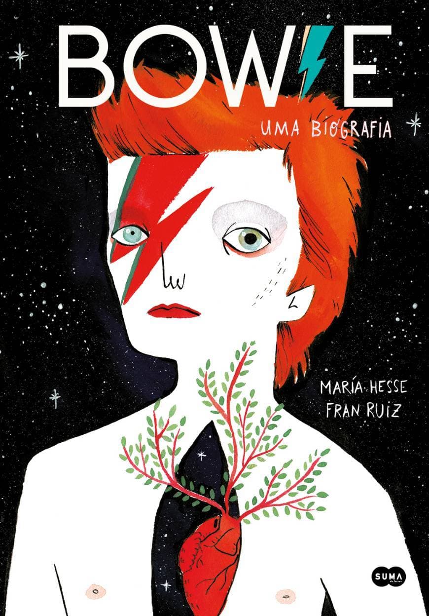 Book David Bowie Biografia Ilustrada