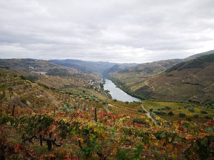 Lugar Douro