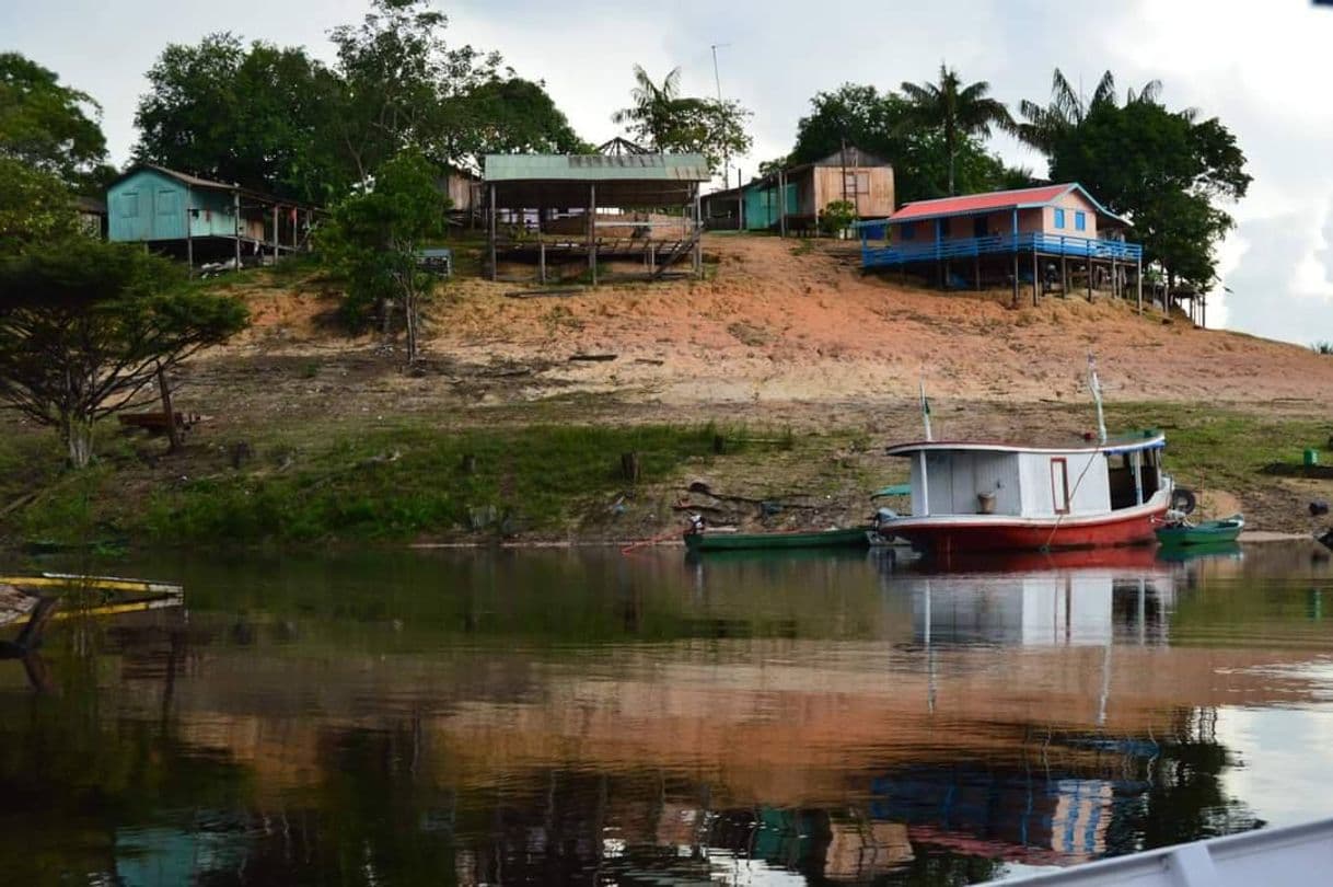 Lugar Anavilhanas National Park