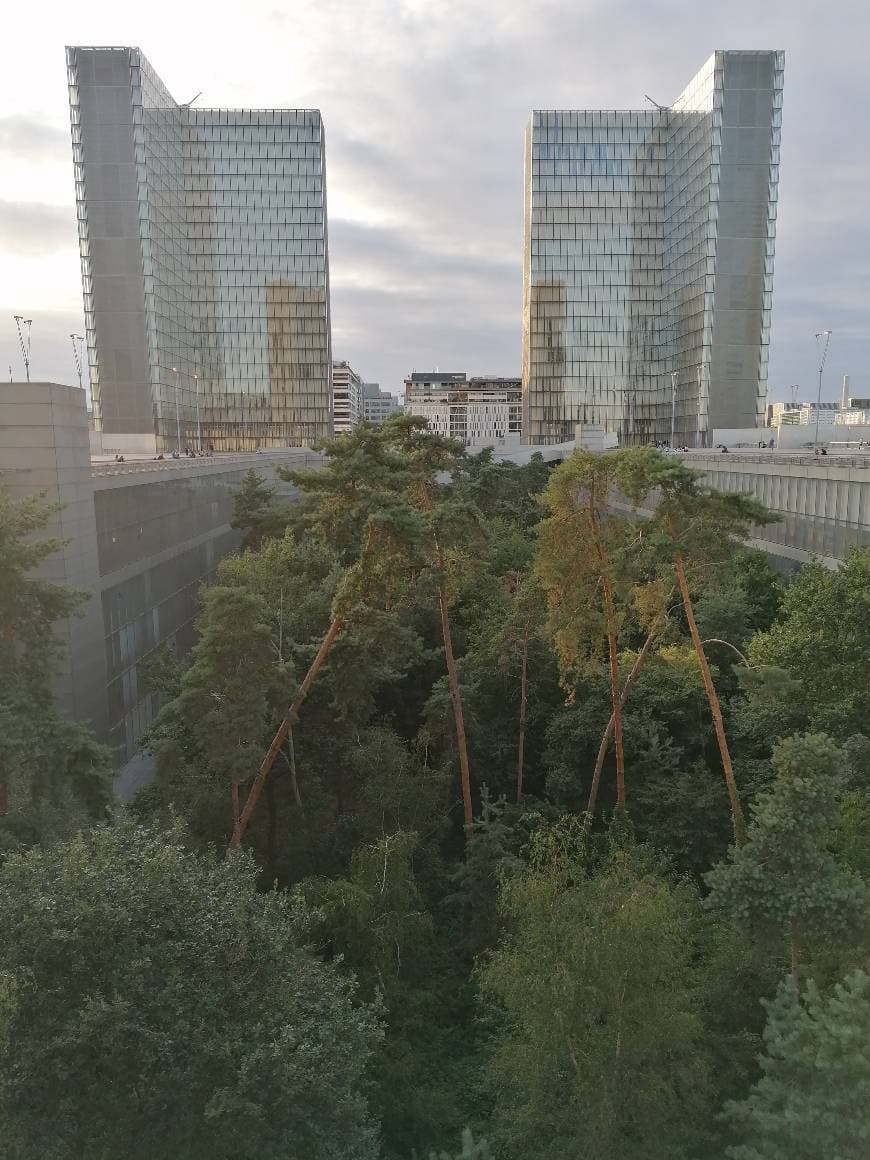 Place Bibliothèque François-Mitterrand