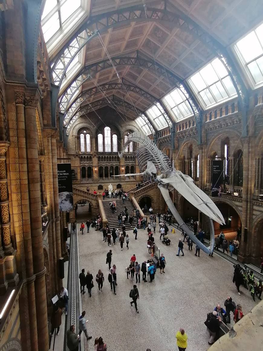 Place Natural History Museum