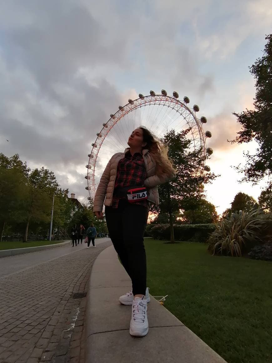 Place London Eye