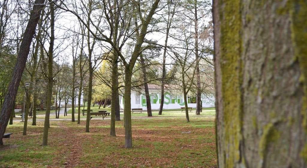 Lugar Bosque de Valorio