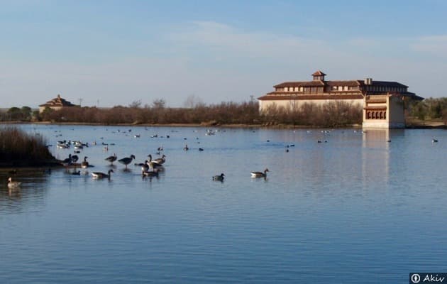 Place Lagunas de Villafáfila