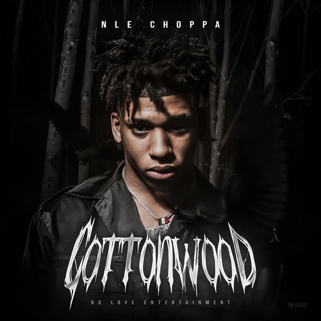 Canción Shotta Flow (Feat. Blueface) [Remix]